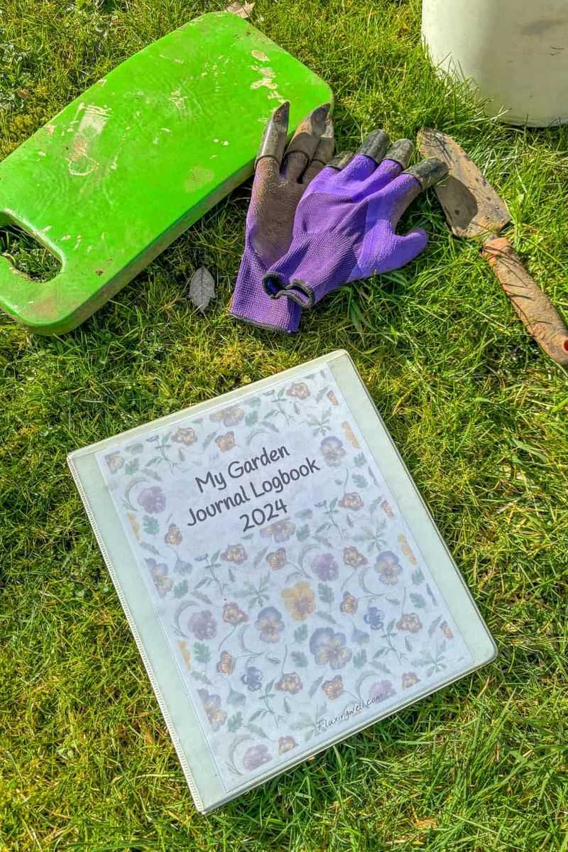 Record-Keeping Rewards