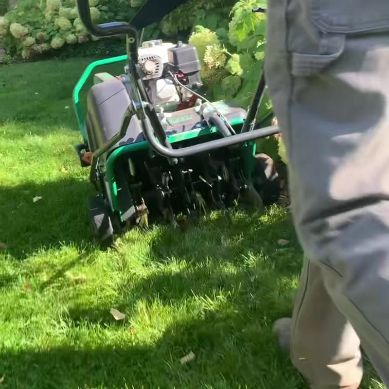 Ignoring Soil Compaction