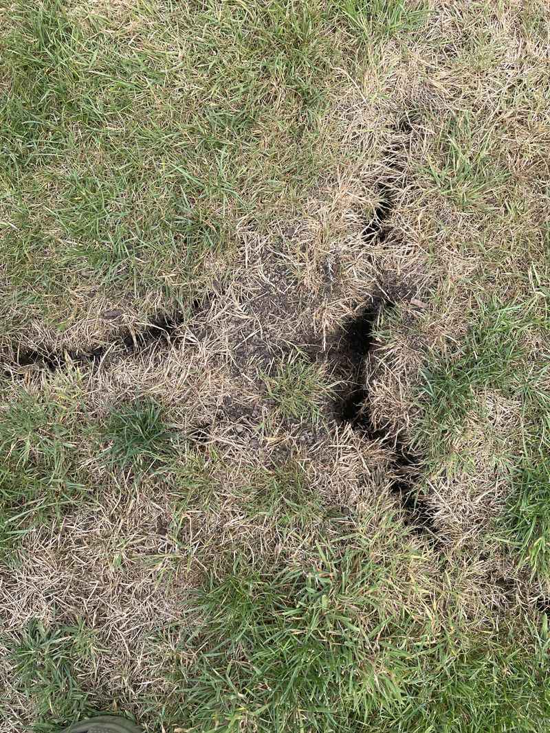 Ignoring Soil Compaction