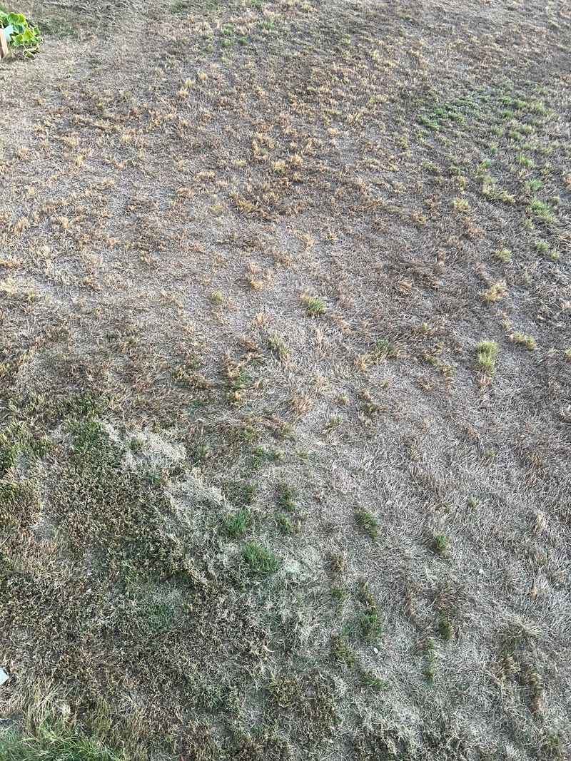 Ignoring Soil Compaction