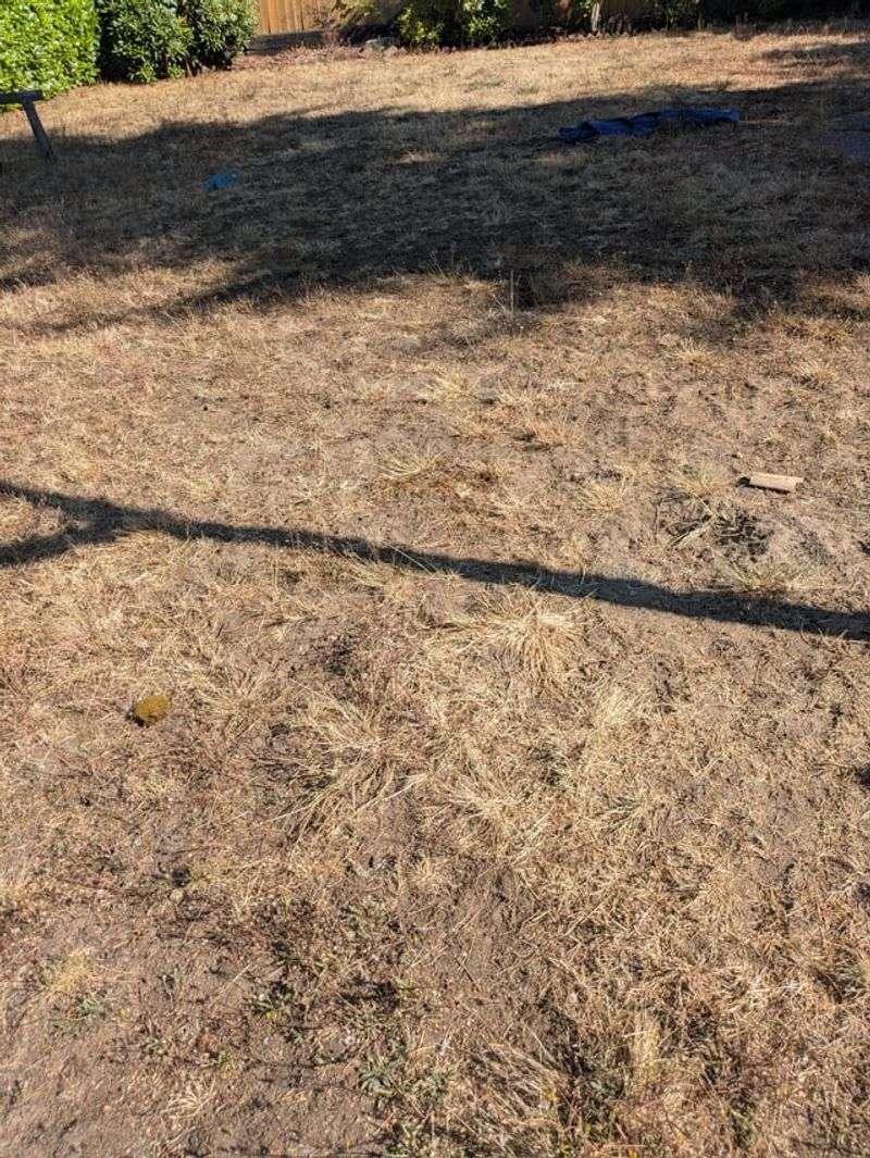 Ignoring Soil Compaction