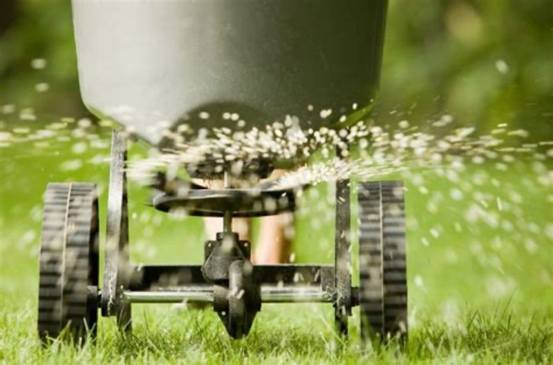 Spreading Fertilizer Carelessly