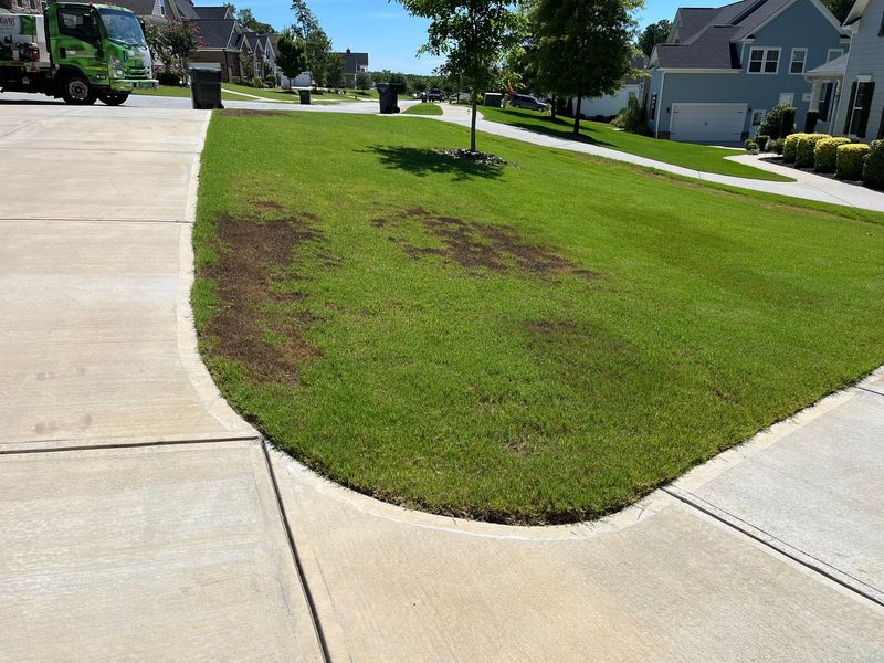 Ignoring Drought Stress Signs