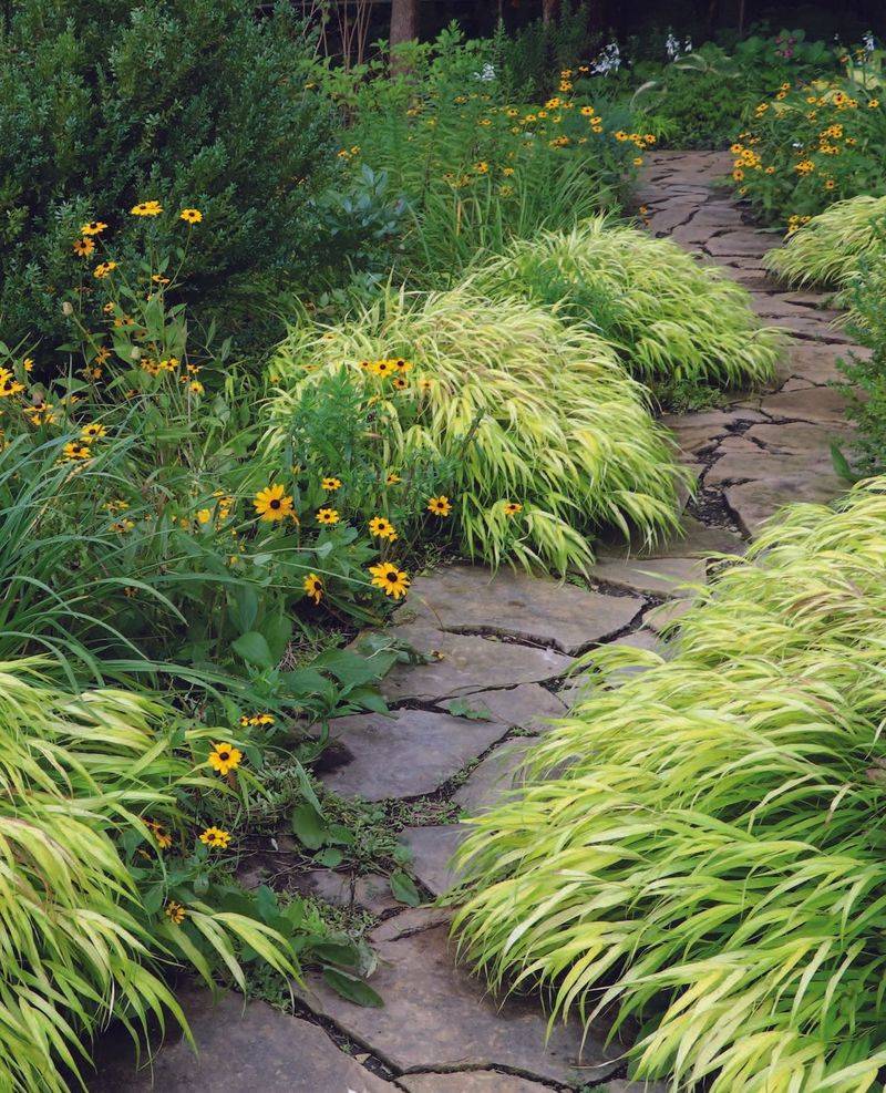 Blue Grama Grass