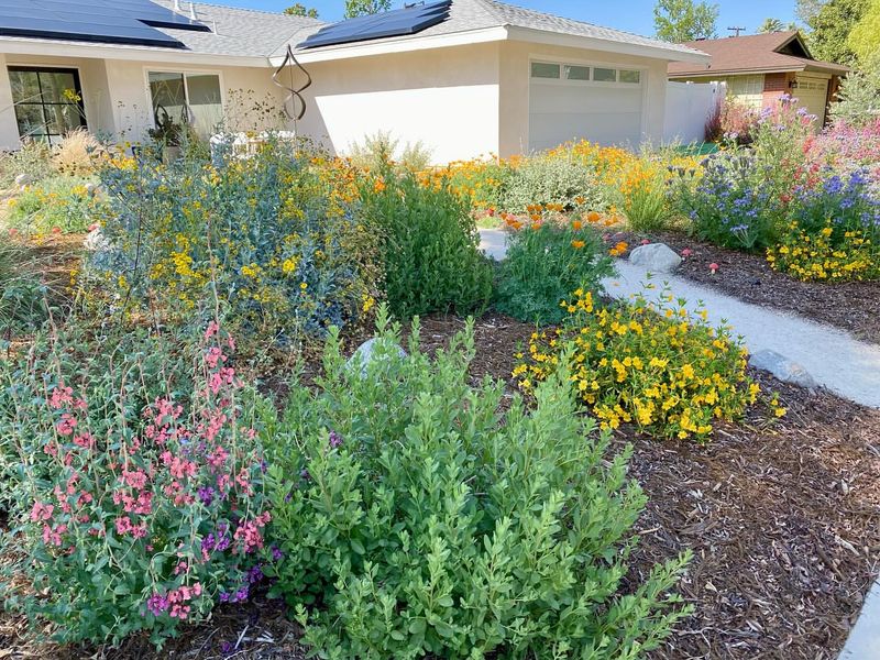 Native Plant Landscaping