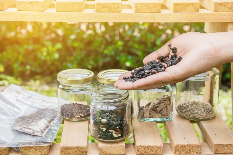Seed-Saving Workshops Connect Generations