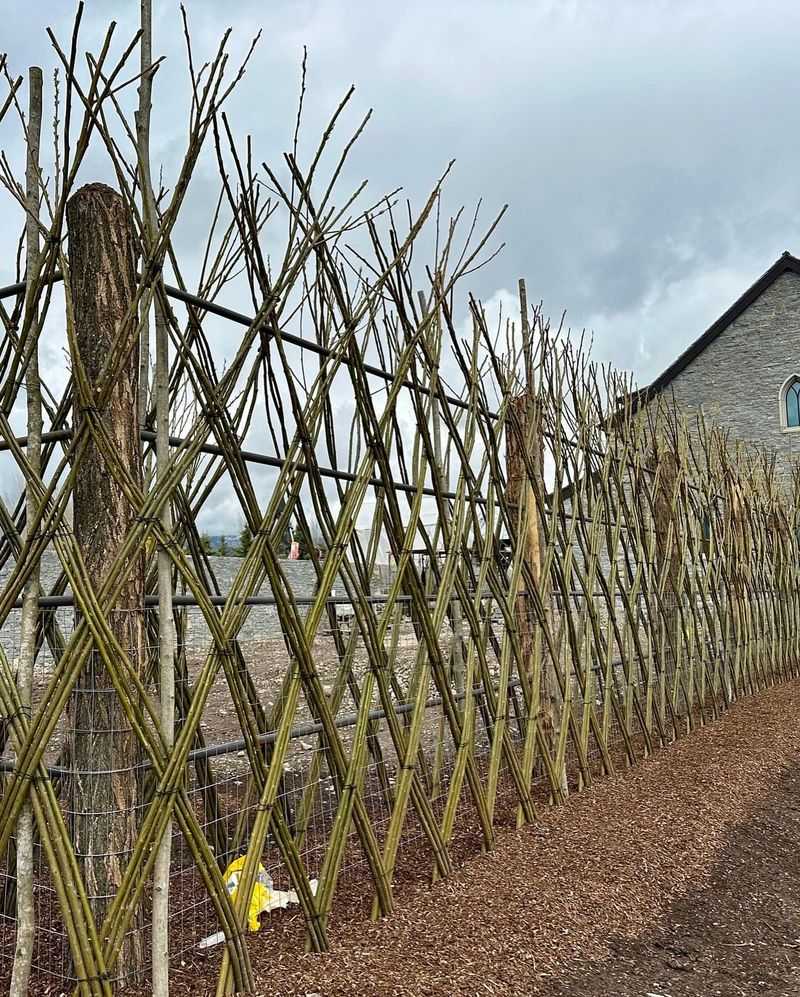 Earthquake-Proof Woven Willow Hurdles