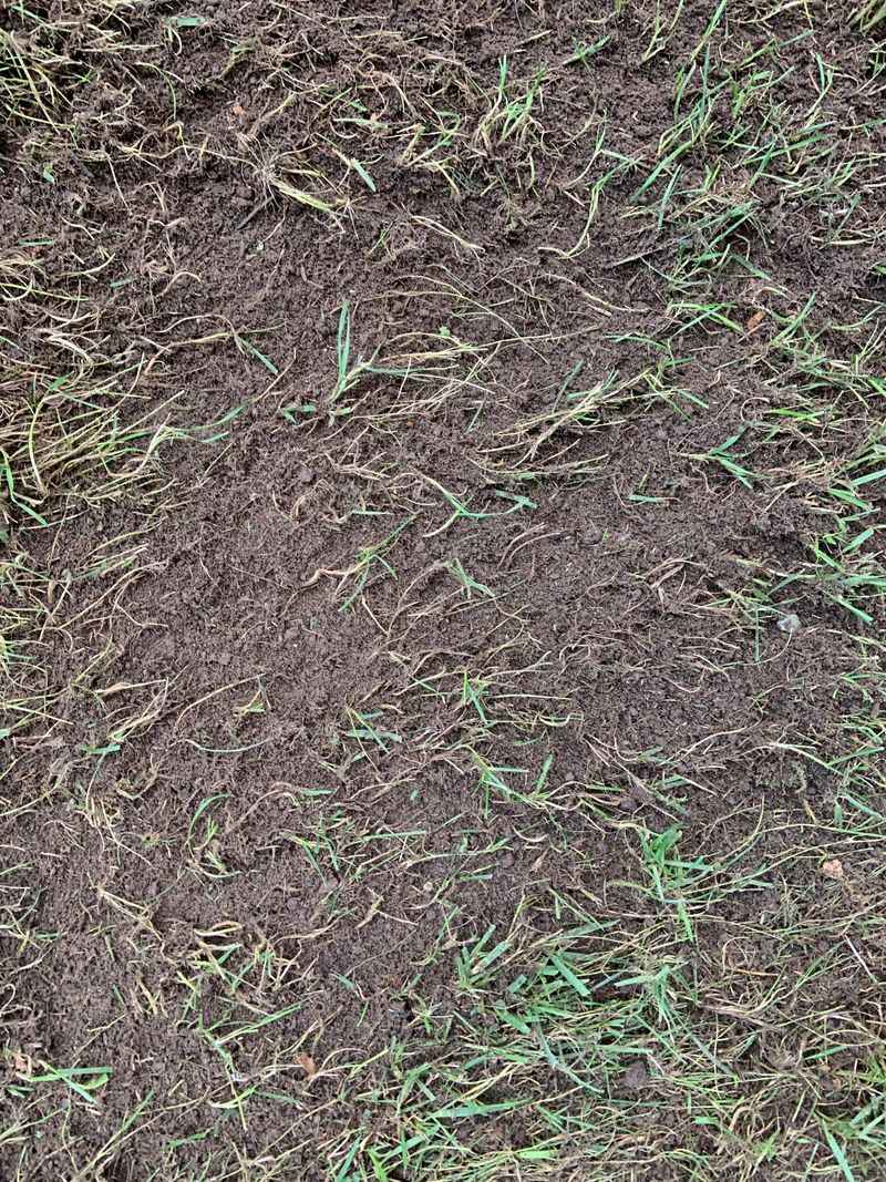 Applying Excessive Thatch Control