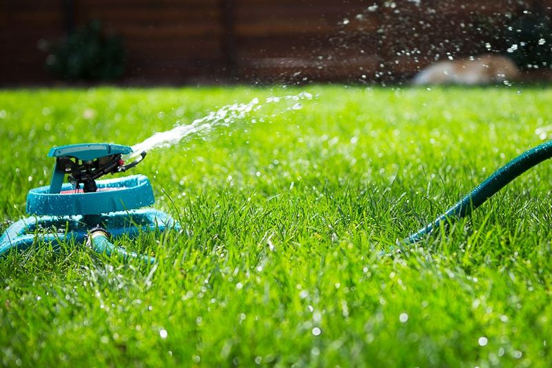Improper Irrigation System Setup