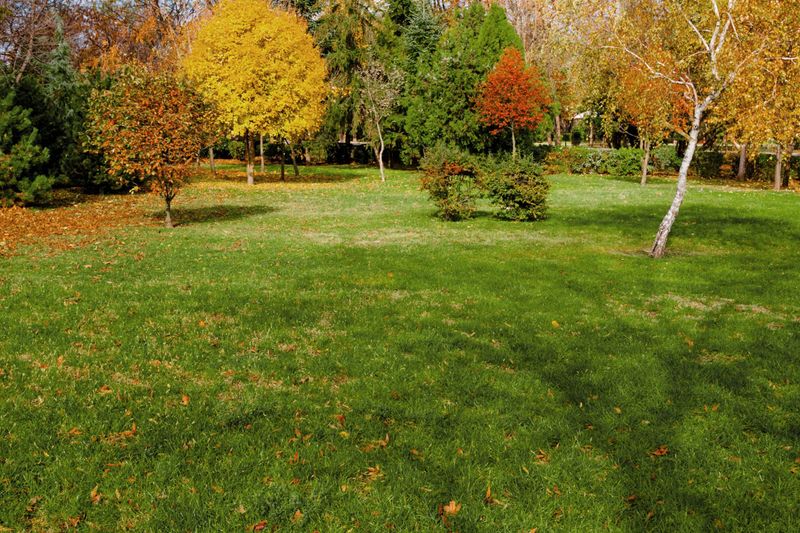 Skipping Fall Preparation During Late Summer