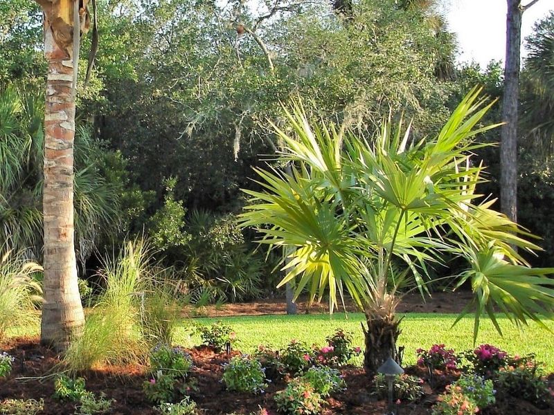 Natural Pest Management Through Diversity