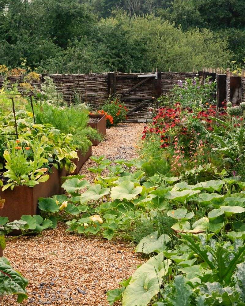 Edible Landscape Borders