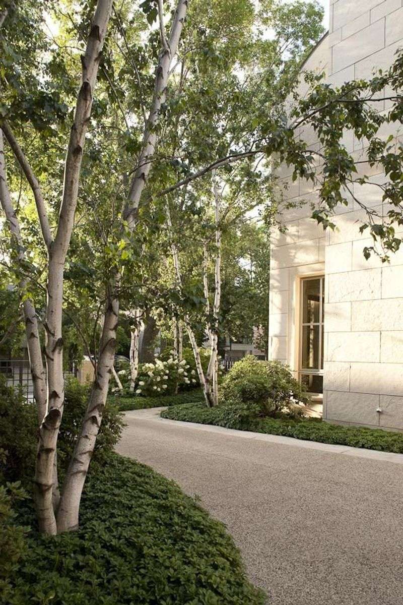 Sustainable Rain Garden