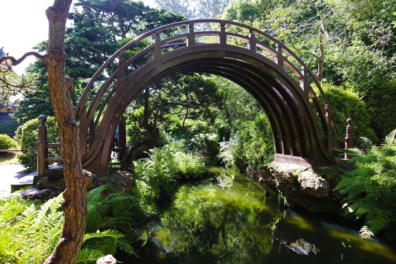 San Jose's Silicon Valley Tea Garden