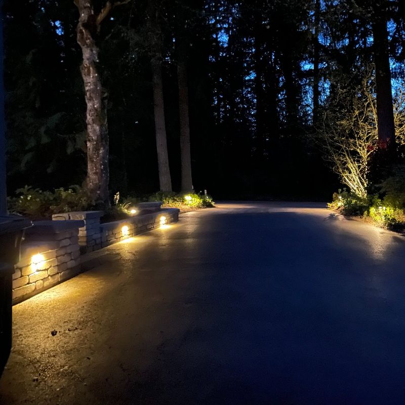 Landscape Lighting Overload