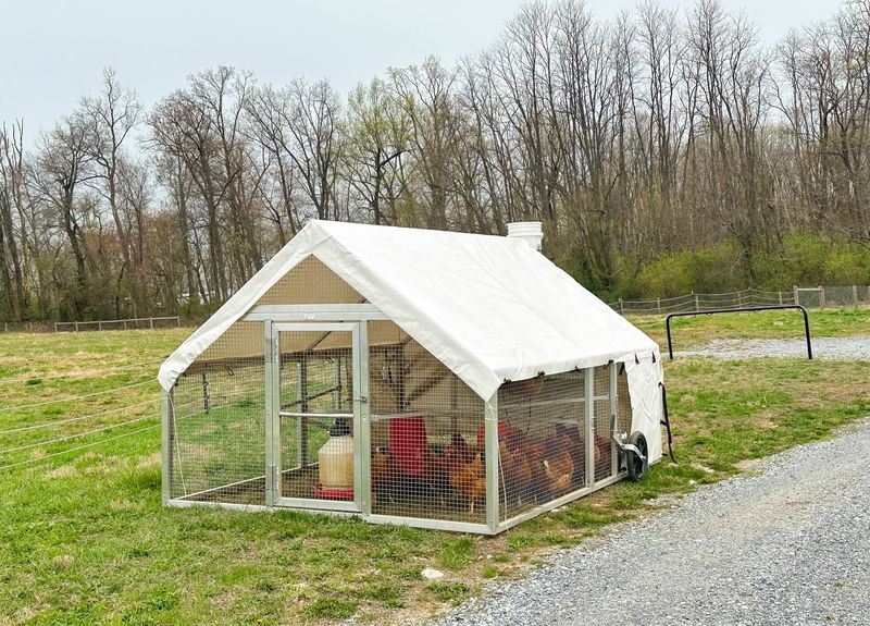 Chicken Coops and Livestock