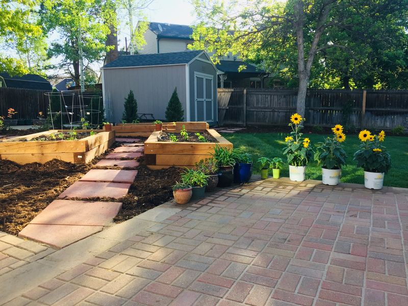 Vegetable Gardens Drawing New Rules