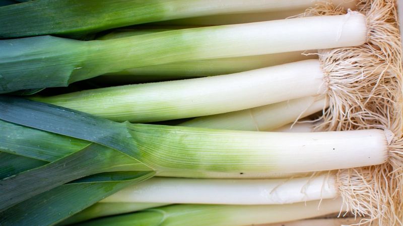 Leek Bottoms: Waste Not