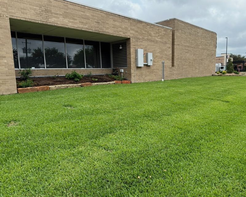 Empire Zoysia: The Tough-Yet-Tender Option