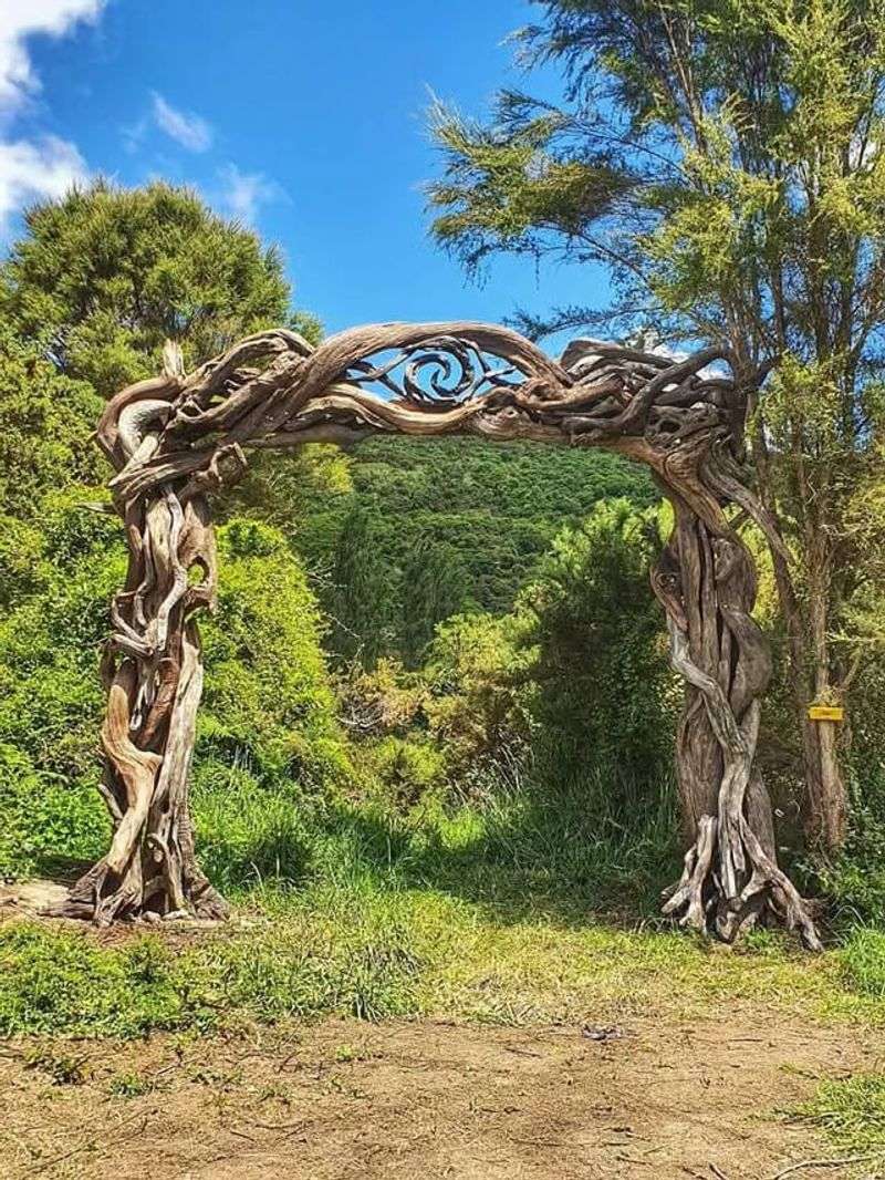 Driftwood And Coastal Arches