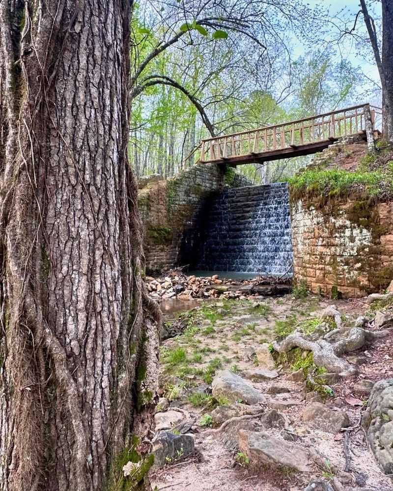 Dunn's Falls Water Park