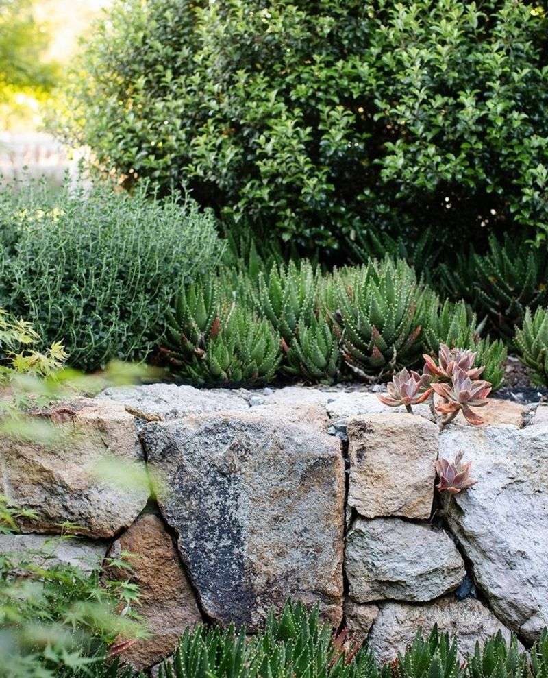 Dry-Stack Stone Walls