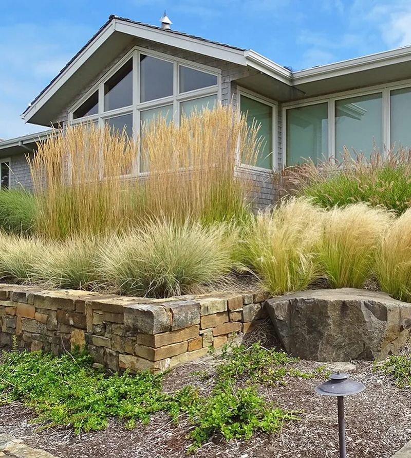 Outdoor Grass Privacy Screen