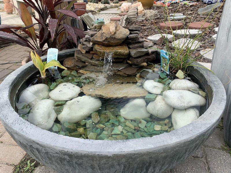 Water Features With Standing Water