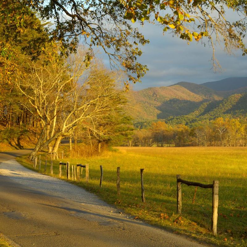 Cades Cove Loop