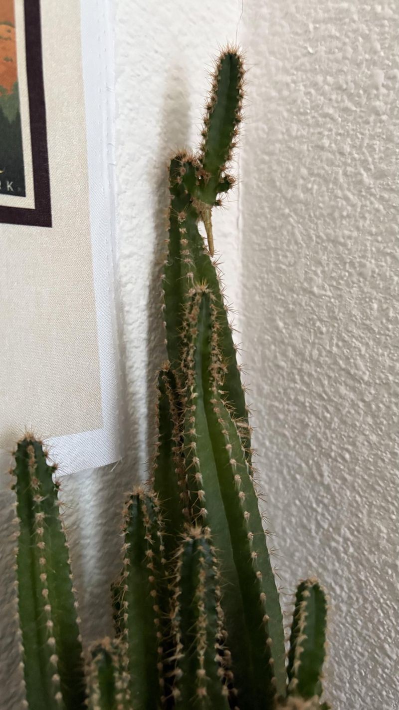 Propagation Practices