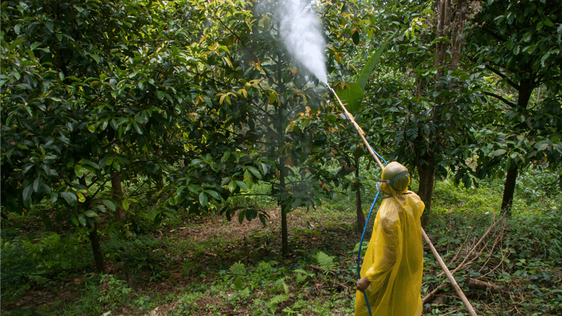 Pesticide Use In Yards And Farms