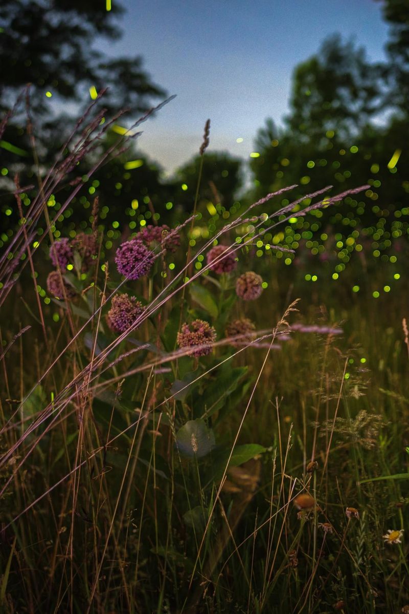 Climate Change Alters Emergence Patterns