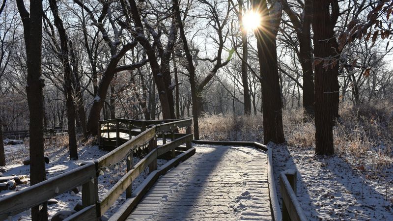 Fontenelle Forest