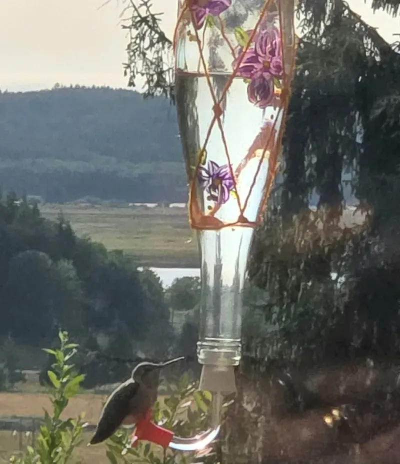 Hummingbird Nectar Feeder
