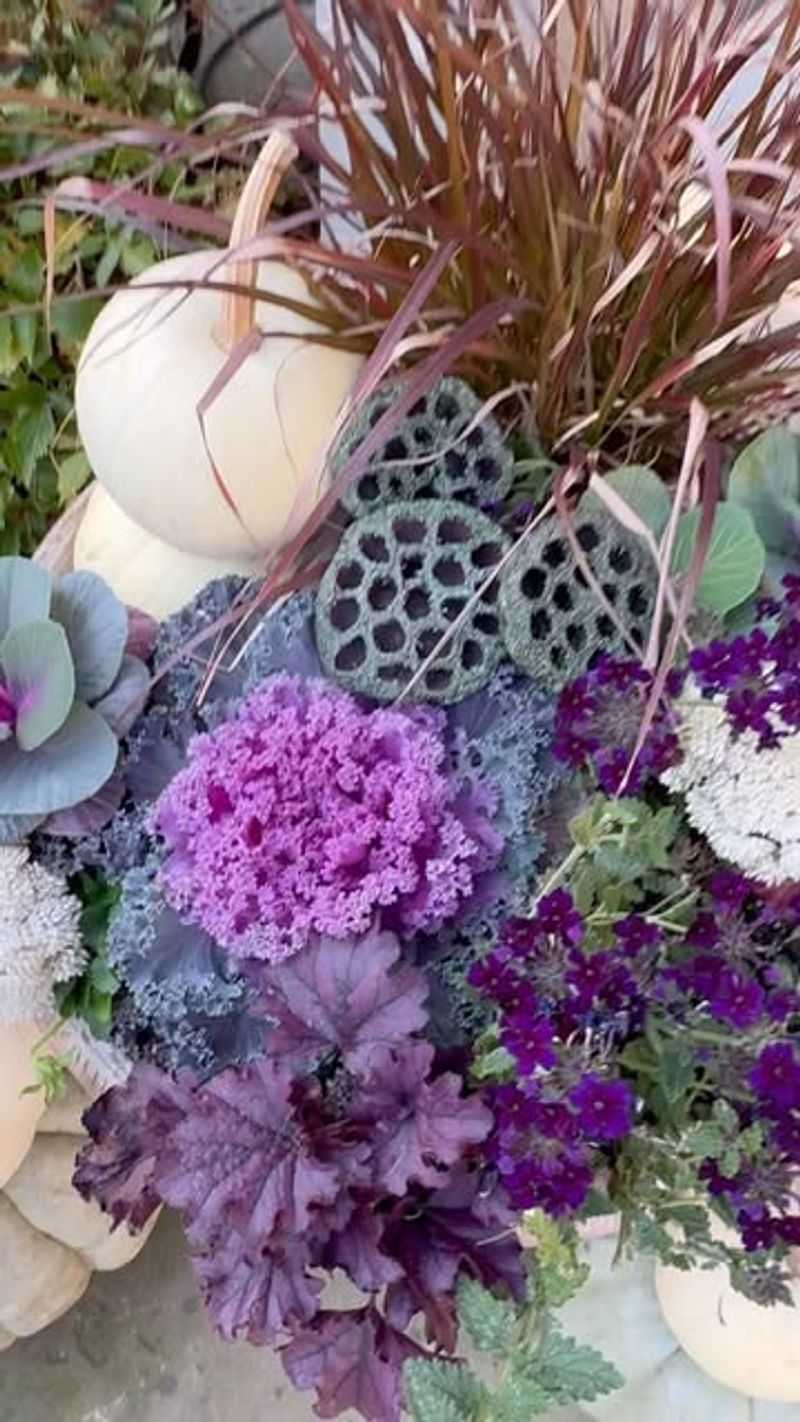 Grasses And Sedum Combinations