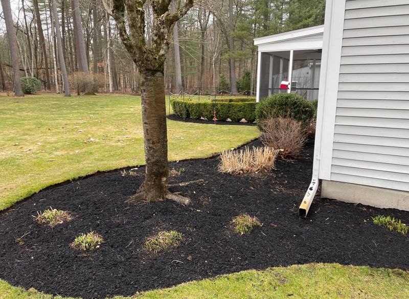 Clear Garden Debris