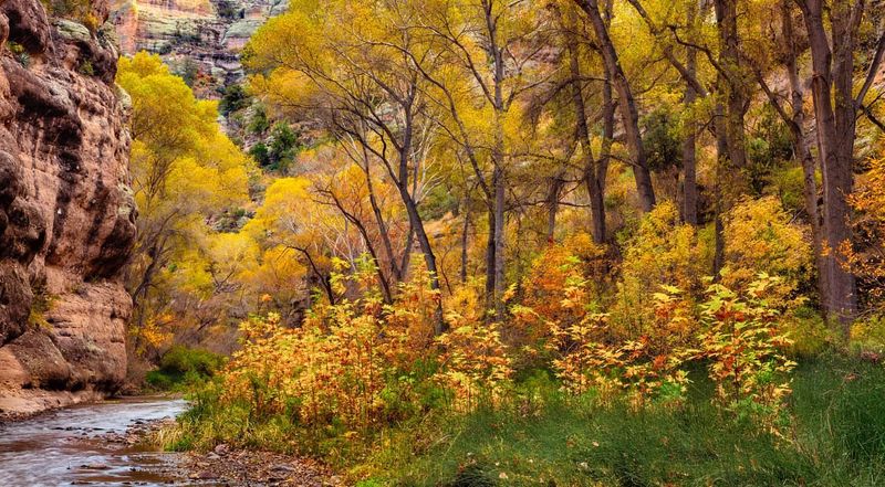 Aravaipa Canyon