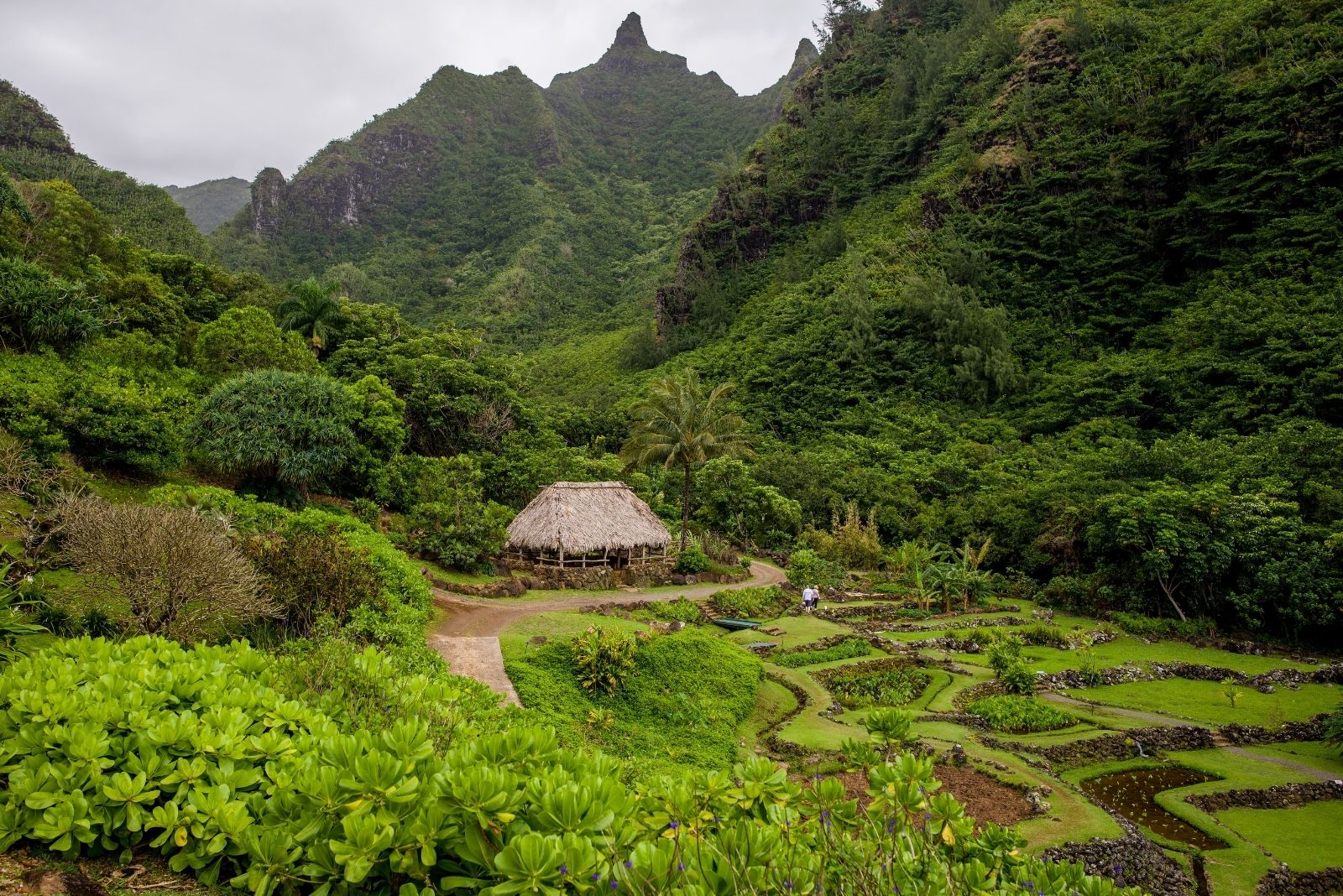 limahuli garden and preserve, kauai, hawaii