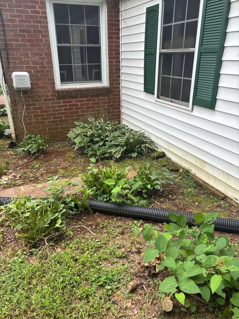 Virginia's Climate Zones Support Fall Success