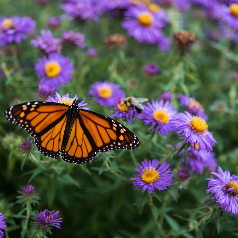 Easier Garden Maintenance Throughout the Season