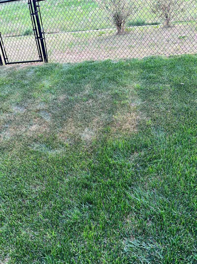 Irregular Growth Patterns