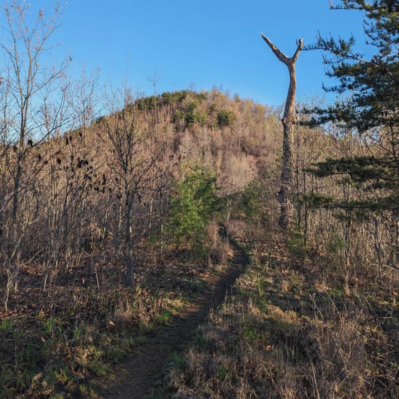 Knobstone Trail