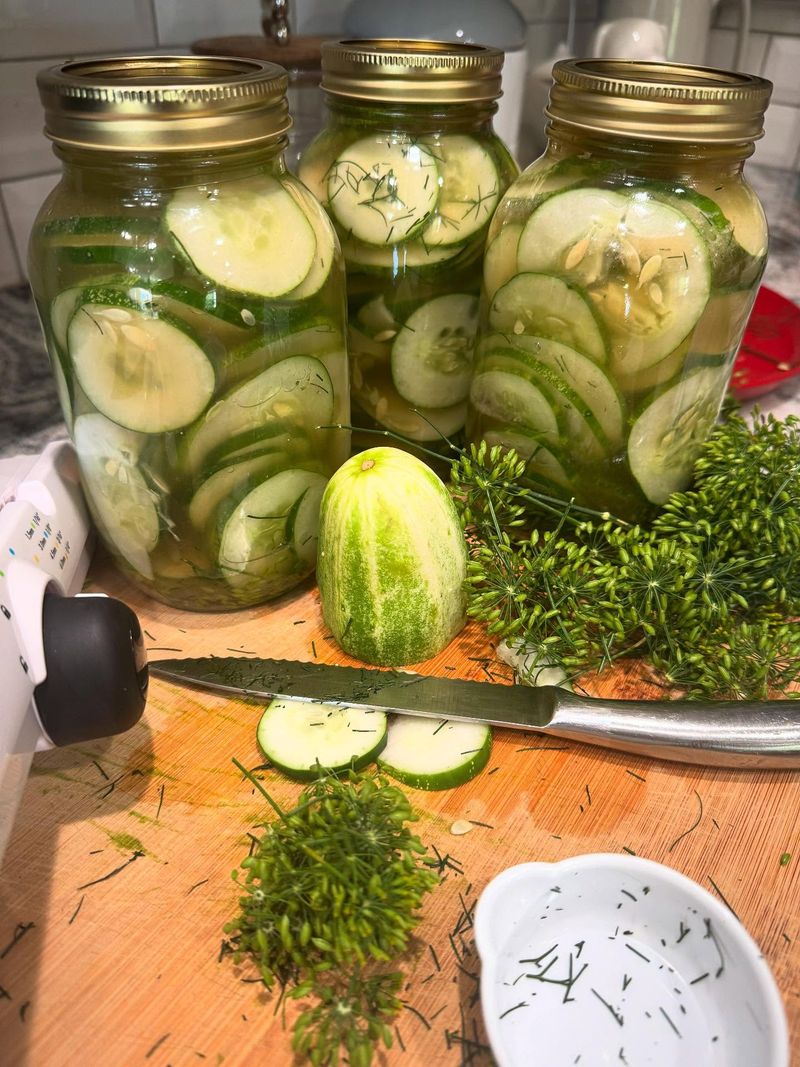 Pickling Gardens (Ogród na Kiszonki)