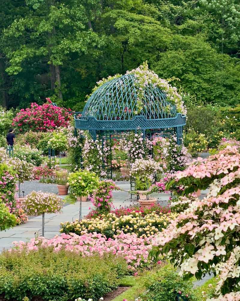 Formal Rose Gardens