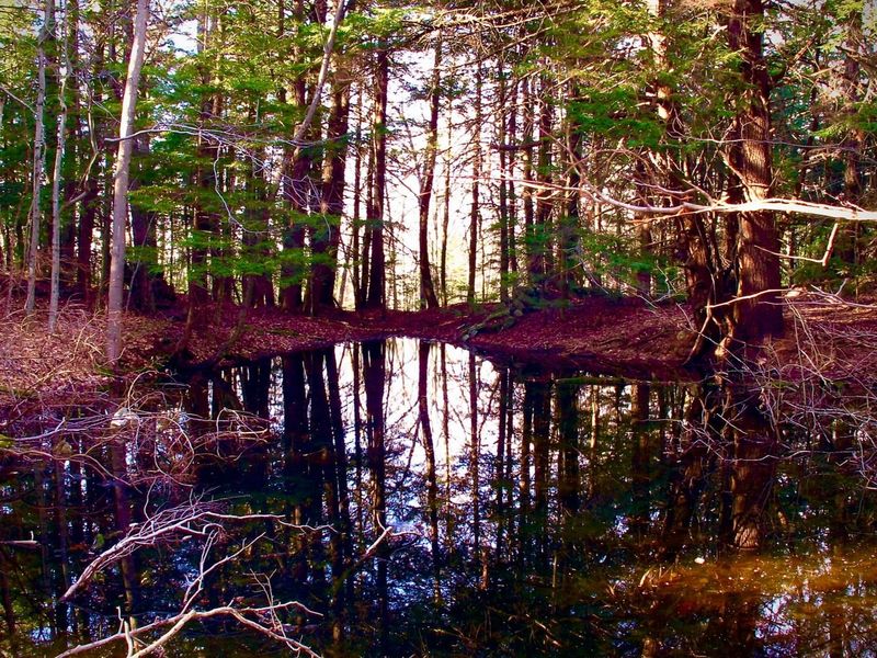 Mount Warner Reservation, Hadley