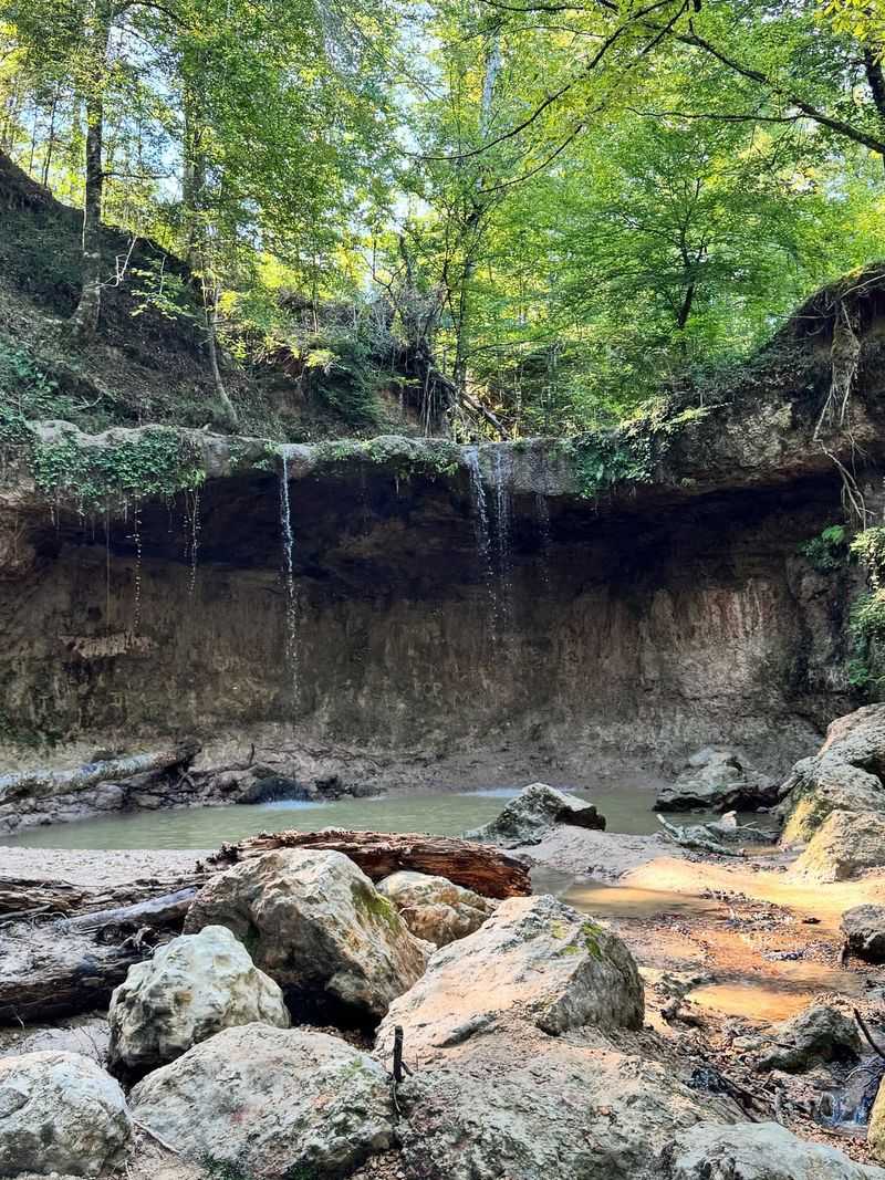Clark Creek Natural Area