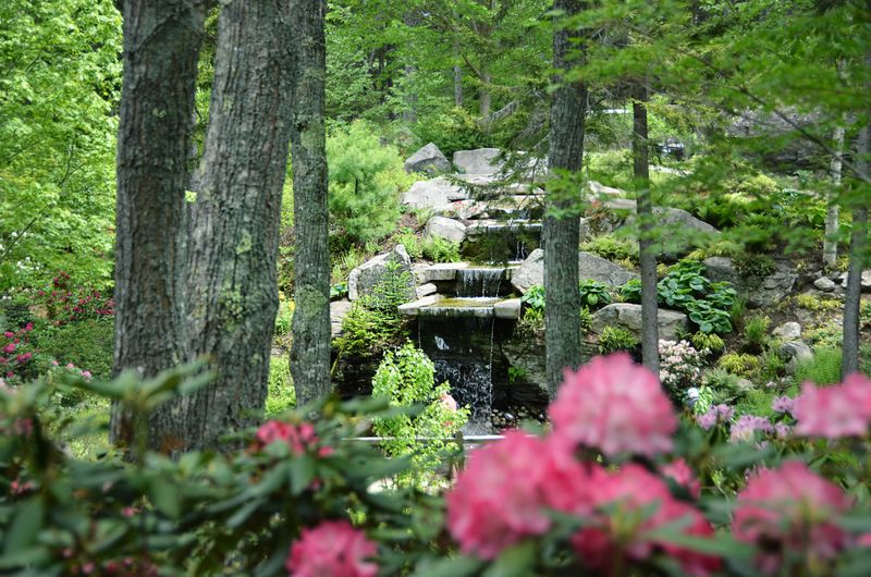 Coastal Maine Botanical Gardens' Wilderness Trail