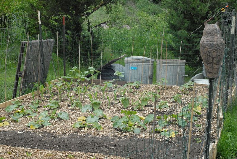 Cedar Falls Community Gardens