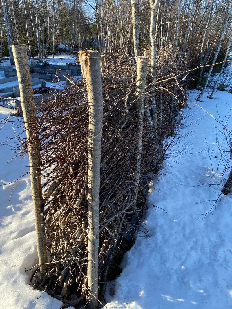 Brush Wall Windbreak