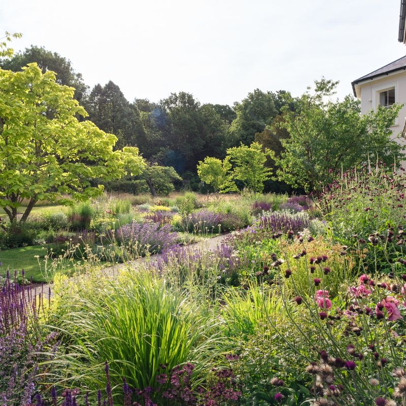 Lavender Lodge In The Berkshires